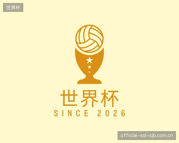 解读世界杯平台